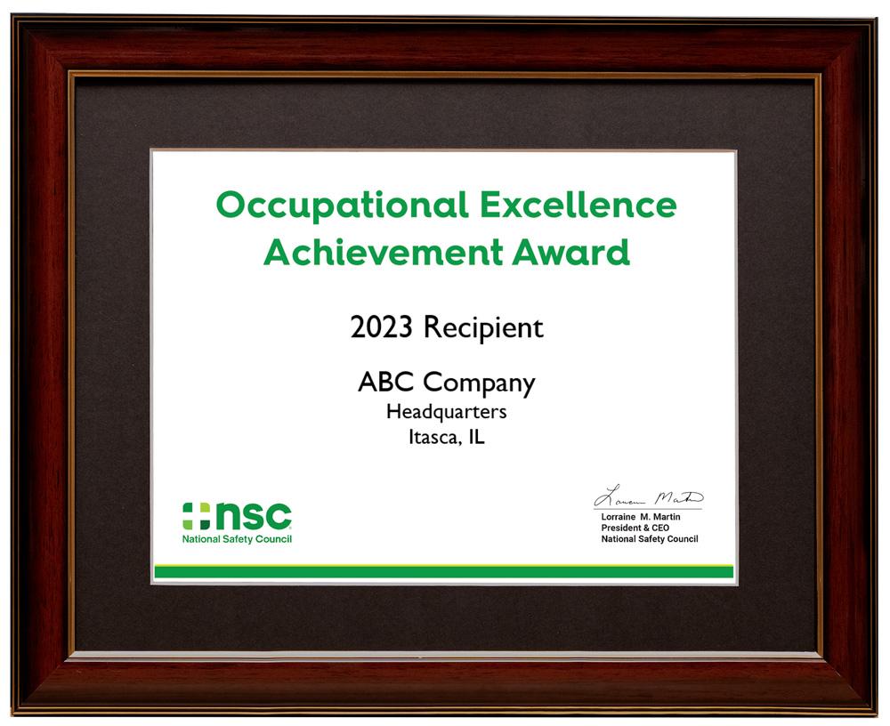 Occupational Excellence Certificate Award product image