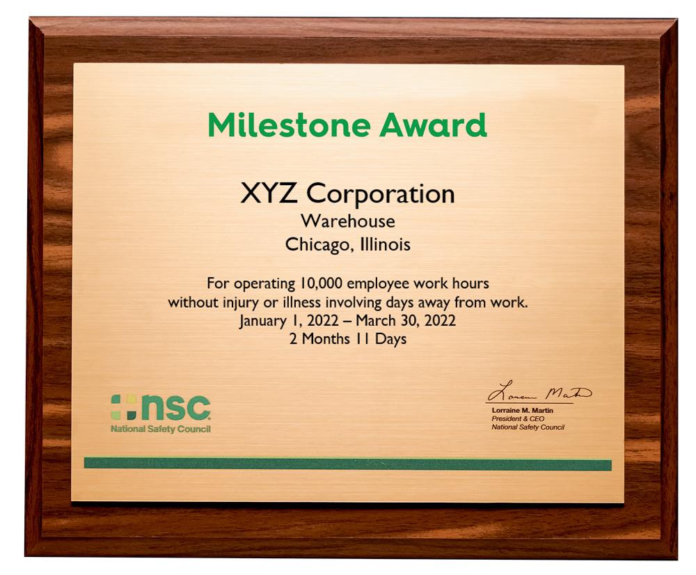 Milestone Kit product image