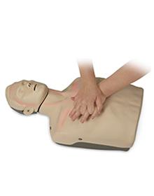 Brayden CPR Manikin product image